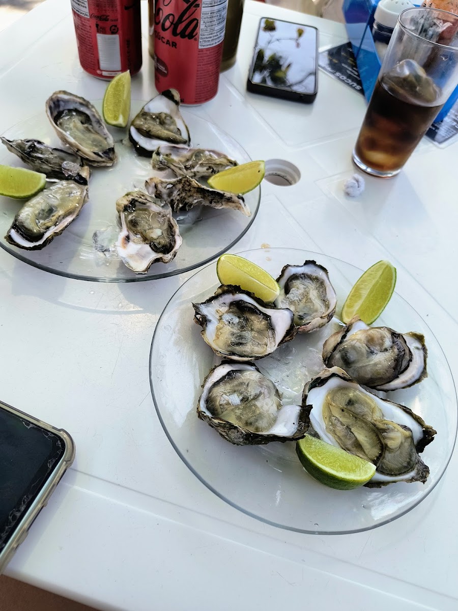 Barraca Do Portugues-4